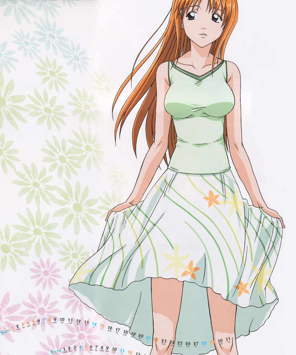 Bleach Inoue Orihime 28769 Yande Re